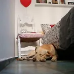 Casa Coco * לצ'ה
